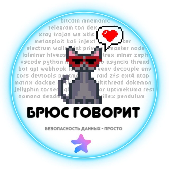 Брюс говорит — безопасность данных просто